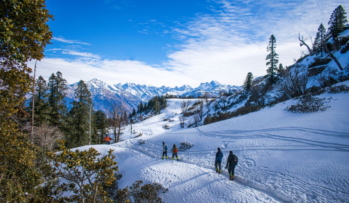 Manali Snow